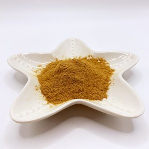 Asam Amino Chelate Besi (AminoFe)