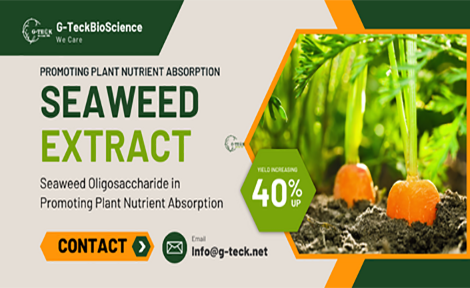 مستخلص الأعشاب البحرية في تعزيز امتصاص المغذيات النباتية